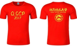 QSCP2017 Helper T-shirt
